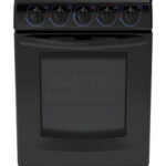 Estufa Iem De Piso 20  Ei5020bapn0 A Gas 4 Quemadores Negra